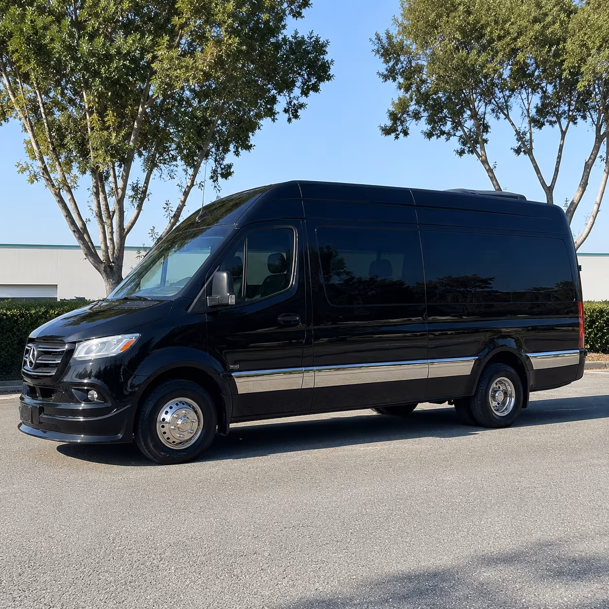 sparks 8 passenger sprinter van